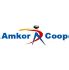 atpecoop portal|atpnet amkor.